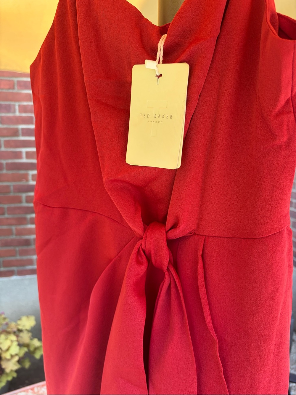 Ted Baker London Rust Red Tie-Front Midi Dress - Picture 6 of 10